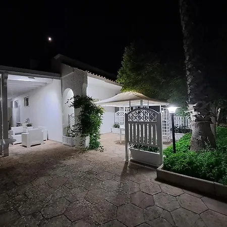 Lory - - 300 Mt Dalla *