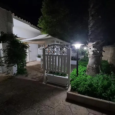 Lory - - 300 Mt Dalla