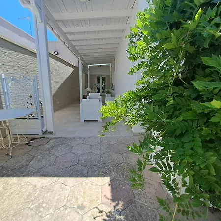 Lory - - 300 Mt Dalla Torre Lapillo