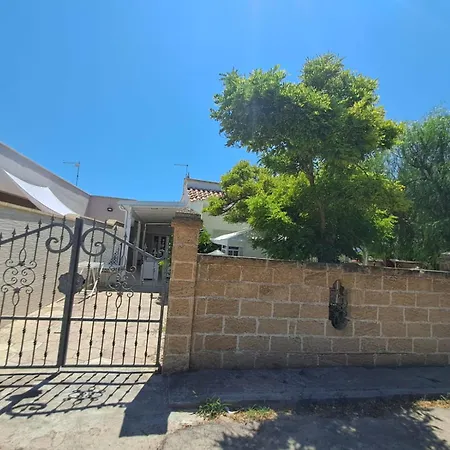 Lory - - 300 Mt Dalla *