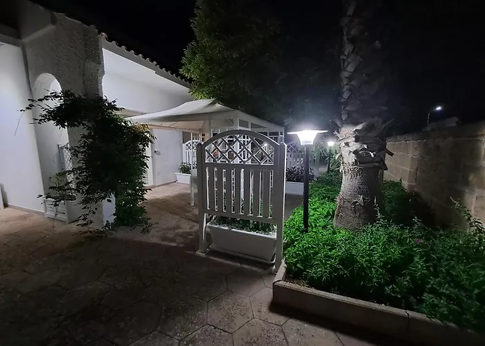 Lory - - 300 Mt Dalla