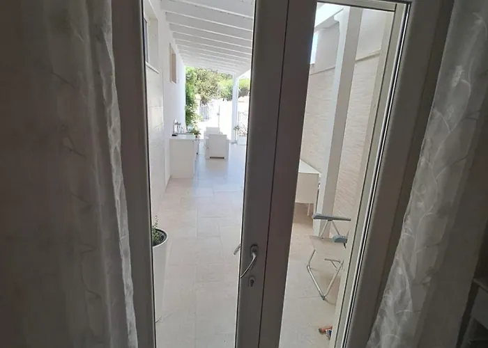 Lory - - 300 Mt Dalla